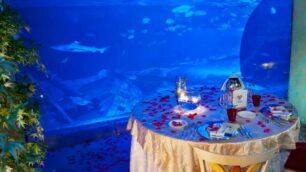 Gardaland, all’astala cena nell’acquario