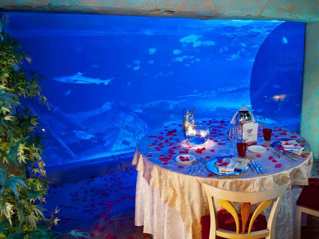 Gardaland, all’astala cena nell’acquario