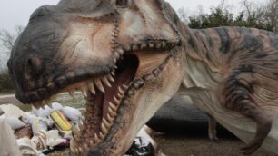 I dinosauri del parco di Monza immagine
