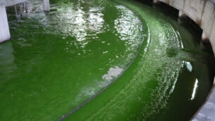 Monza, acqua verde al depuratoreTrovata la causa: era fluoresceina