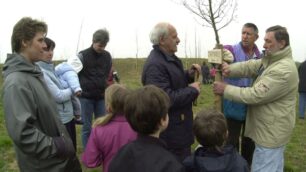 Un albero per ogni nuovo natoCambia la legge: estesa a adozioni