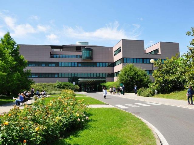 Medicina all’IMSEcco come fare