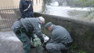 Un anno di polizia provincialeIl bilancio del 2012 in Brianza