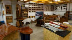Conversazioni al museoOggi si parla del bosco