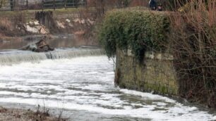 La schiuma bianca nel Lambro immagine