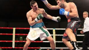 Boxe a Monza: una sfida tricolore immagine