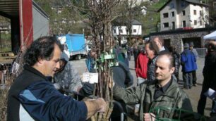 Migliaia di piante da fruttoMoio si prepara all’invasione