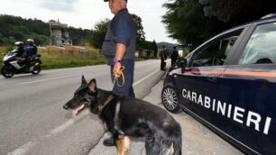 Monza, è ancora BriantenopeaAltri cinque arresti per droga