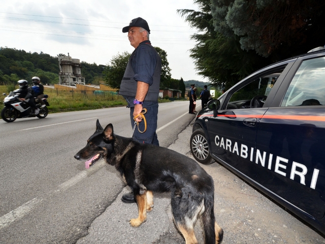 Monza, è ancora BriantenopeaAltri cinque arresti per droga