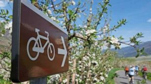 Merano e dintorniIn bici tra i frutteti