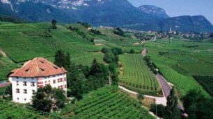 Winepass e Bikein Alto Adige