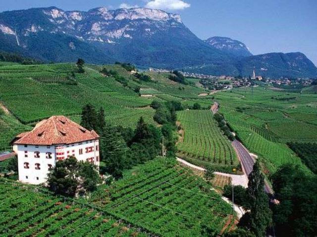 Winepass e Bikein Alto Adige