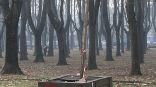 Monza, disagio tra i frequentatoriLe brutte compagnie ai Boschetti