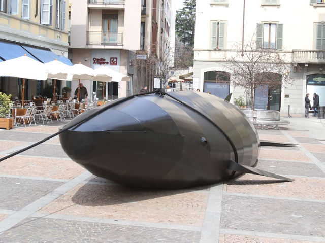 Il parto della balena a Monza immagine
