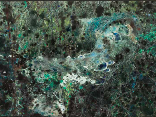 Monza e la natura di LuciferaseDa Cart mostra di Dacia Manto