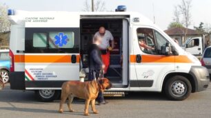 Sovico: cane azzannato, due feritiUn tranquillo pomeriggio al parco