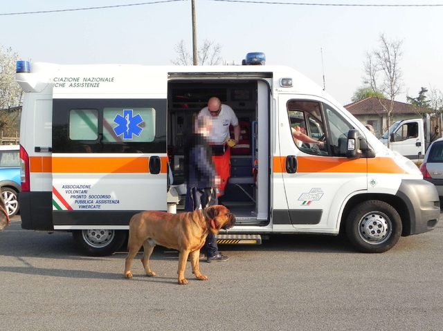 Sovico: cane azzannato, due feritiUn tranquillo pomeriggio al parco