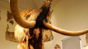 Torna ExpoScuolambiente