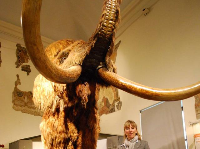 Torna ExpoScuolambiente