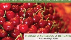 Mercato agricolo in piazzale AlpiniSabato anche una caccia al tesoro green