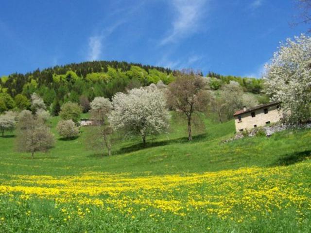 Le «Erbe del Casaro» al via il 25Enogastronomia in Val Brembana