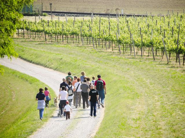 Franciacortandofra arte e gusto