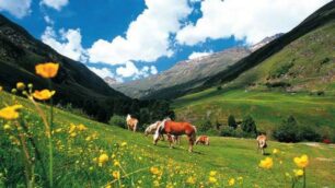 Ötztal per i bambiniUna valle avventura