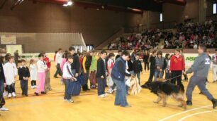 Le Fiamme Gialle e i loro cani:incontro con gli studenti seregnesi