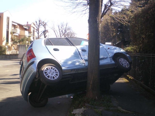 Desio , incidente in via GiustiAuto si arrampica a un albero