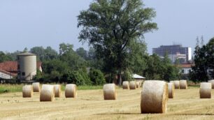 Per la Cascinazza, conto salato«E’ una stangata sui cittadini»