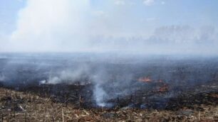 Grugnotorto, fiamme a Muggiò:colonna di fumo sulla Taccona