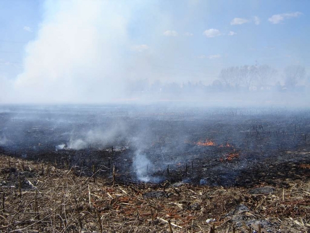 Grugnotorto, fiamme a Muggiò:colonna di fumo sulla Taccona