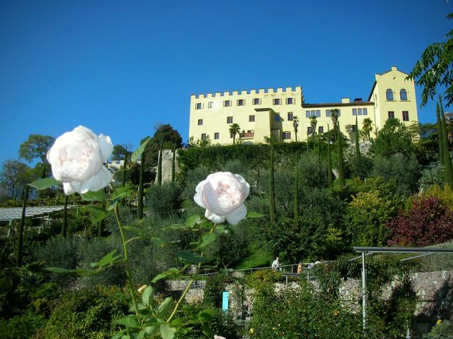 Merano, Pasquafra fiori e cavalli