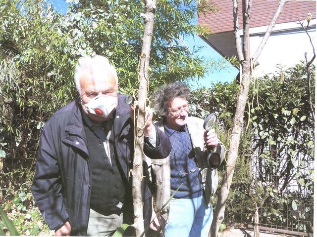 Alberi degli spaghetti e fossiliLa Brianza dei Pesci d’aprile