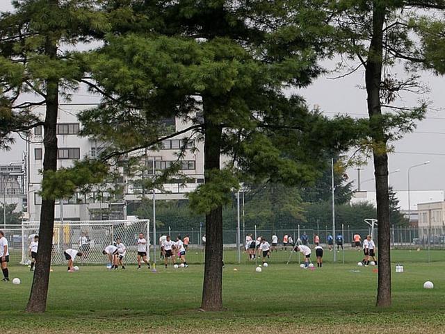 Atalanta: la scuola calcio estivaUna settimana a Cavalese 690 euro