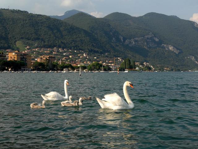 Mercatini e arte sul SebinoEcco cosa fare in queste feste