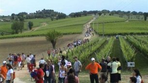 Umbria, cantine apertelungo le Strade del Vino