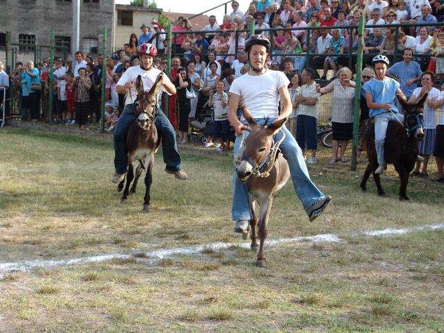 La corsa degli asiniassegna il Palio