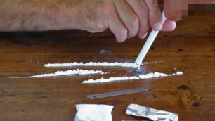 Cocaina, genetica e personalità