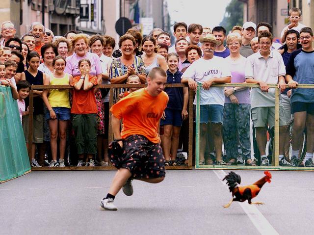 Quando il gallo cantaa Presezzo è tempo di palio