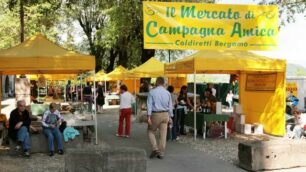 Campagna amicaanche a Minitalia