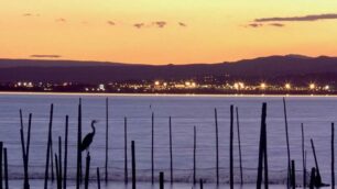 Valencia «open»Bioparc e spiagge