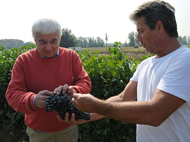 Vimercate, Oreno riscopre il vino:Crodello, Rosso ed Eporenum