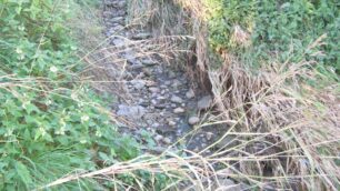 Besana: torrente sparito, è gialloNella Beverella non c’è acqua