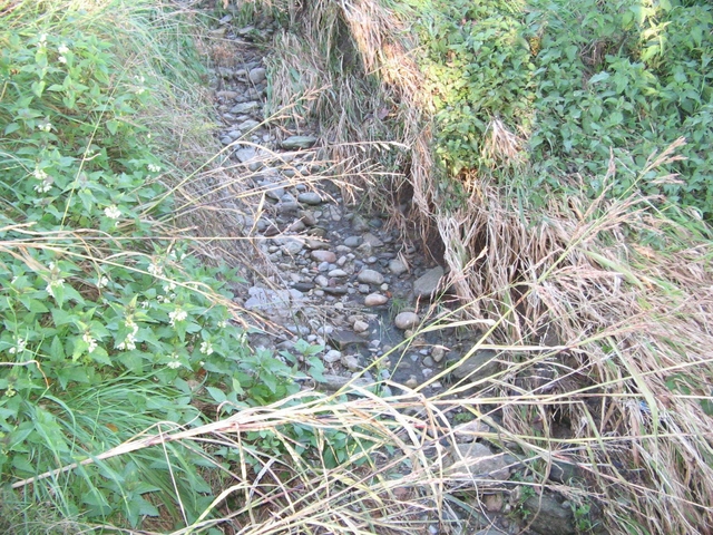 Besana: torrente sparito, è gialloNella Beverella non c’è acqua