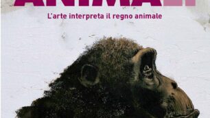 La mostra ”Animali” al Must di Vimercate immagine