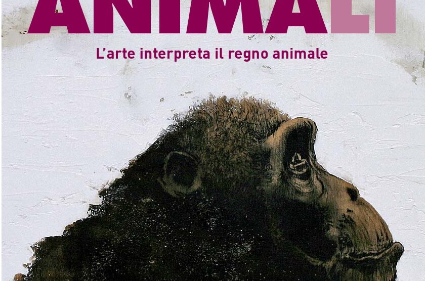 La mostra ”Animali” al Must di Vimercate immagine