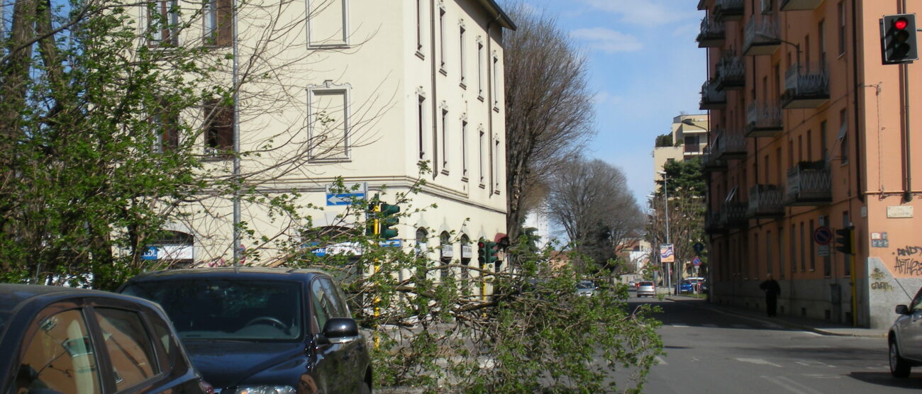 Il vento soffia, gli alberi cadonoParco chiuso in via precauzionale