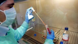 Accordo con il Biocell Center:così Monza conserva le staminali