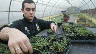 Anni per ricevere un pagamentoVivai della Brianza in forte crisi